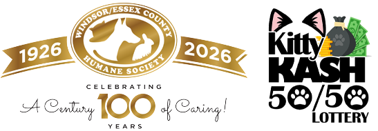 2026 Kitty Kash 50/50 Lottery