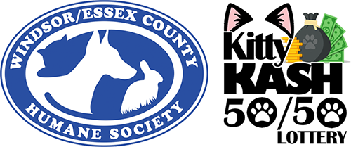 Kitty Kash 50/50 Lottery