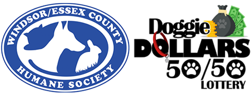 2025 Doggie Dollars 50/50 Lottery