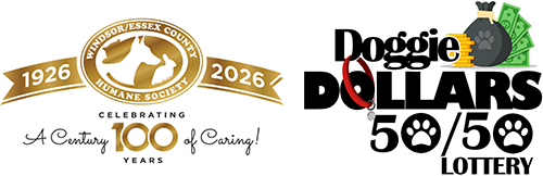 Doggie Dollars 50/50 Lottery